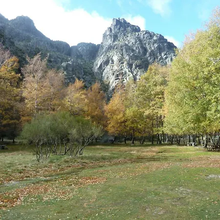 ユーロソル カメロ セイア