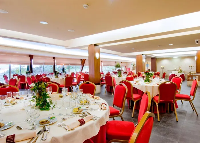 ユーロソル カメロ