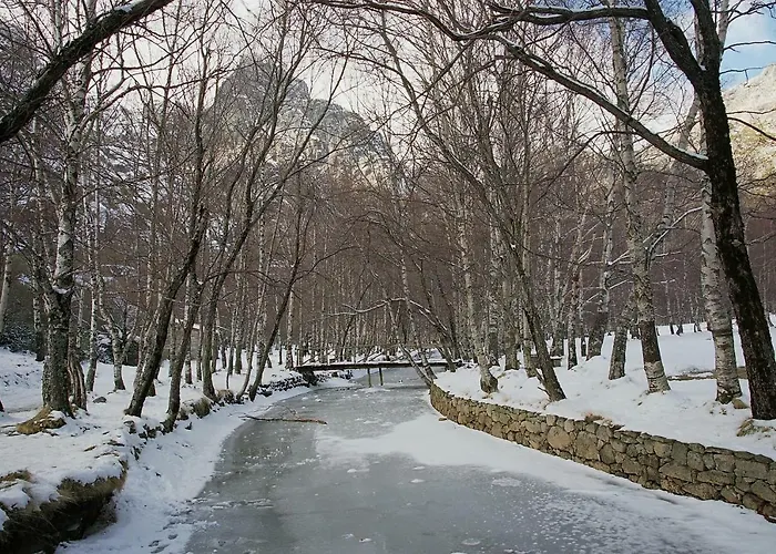 Eurosol Camelo Otel 3*