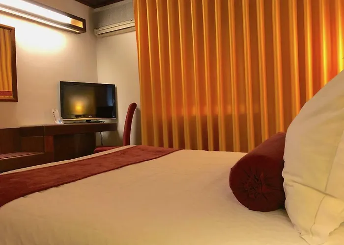 ユーロソル カメロ 3*